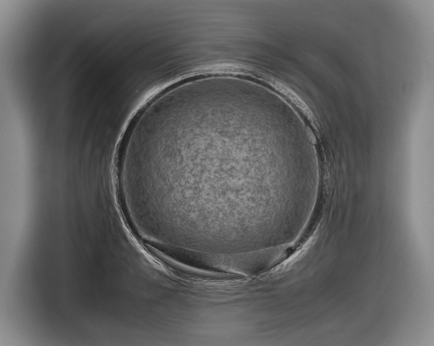 X0000116620989200912181301