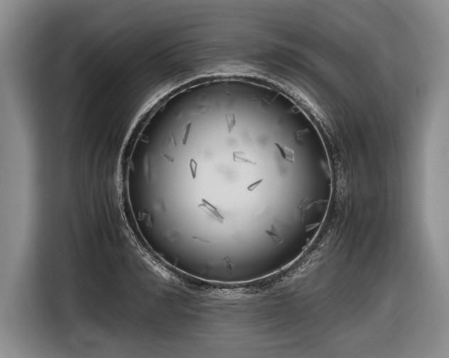 X0000116620990200912181301