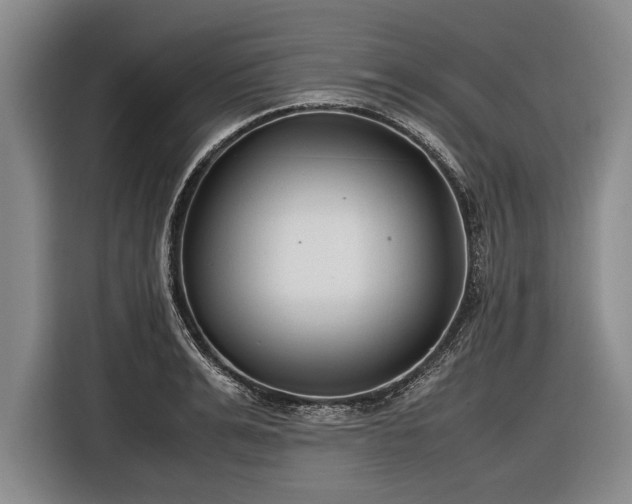 X0000116620991200912181301