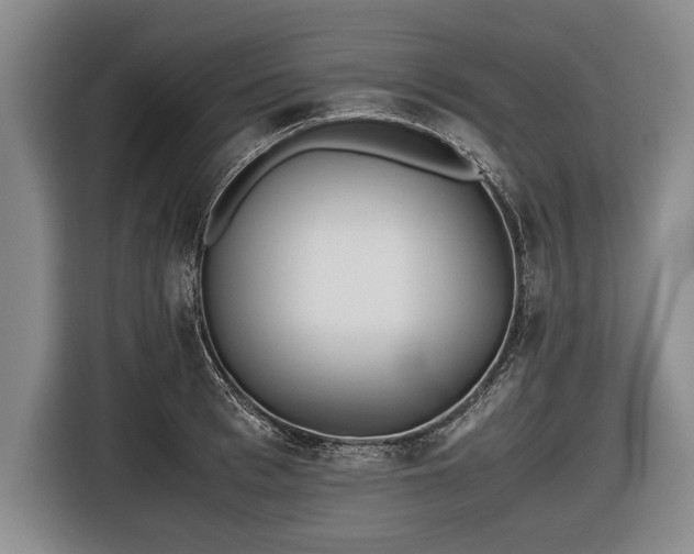 X0000116620993200912181301