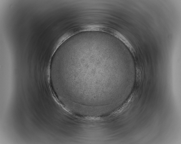 X0000116620994200912181301