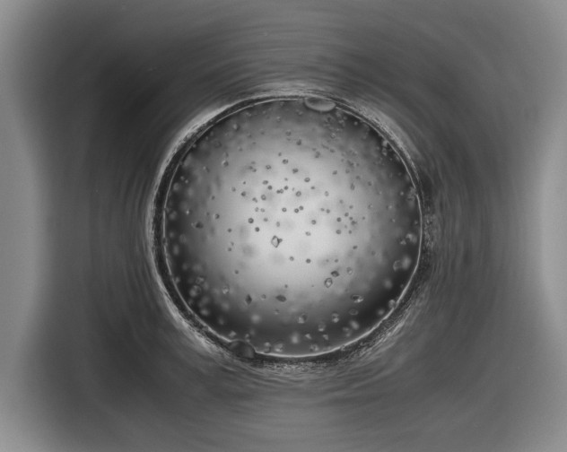 X0000116620995200912181301