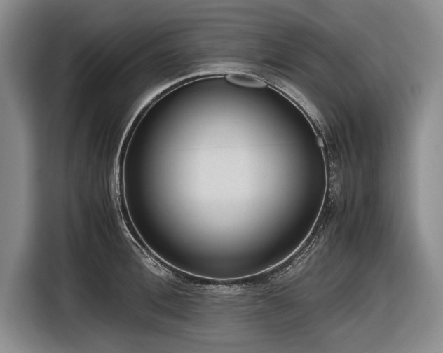 X0000116620996200912181301