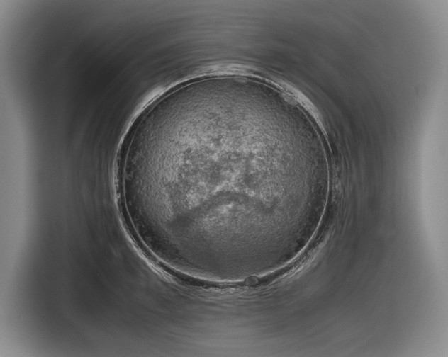 X0000116620997200912181301