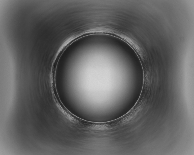 X0000116620998200912181301