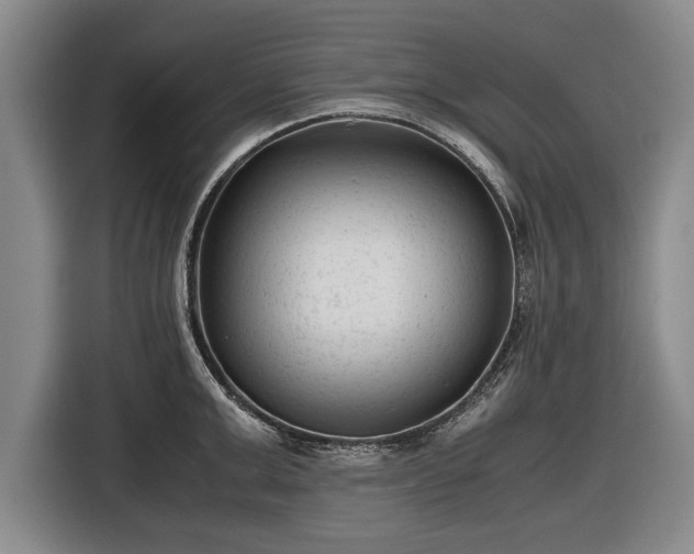 X0000116620999200912181301