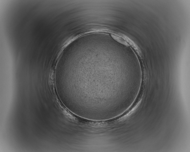 X0000116621001200912181301