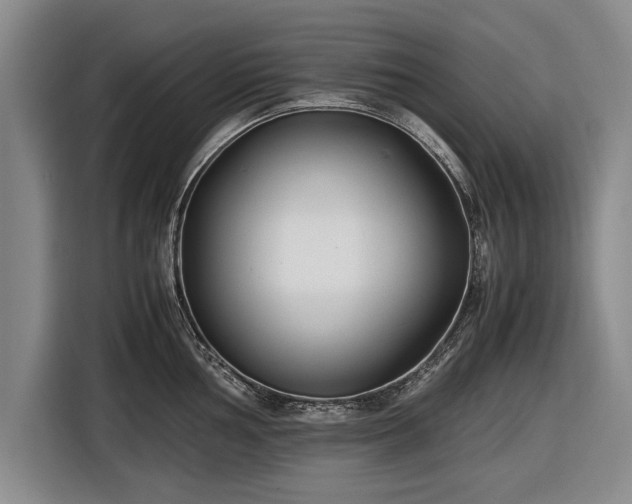 X0000116621002200912181301