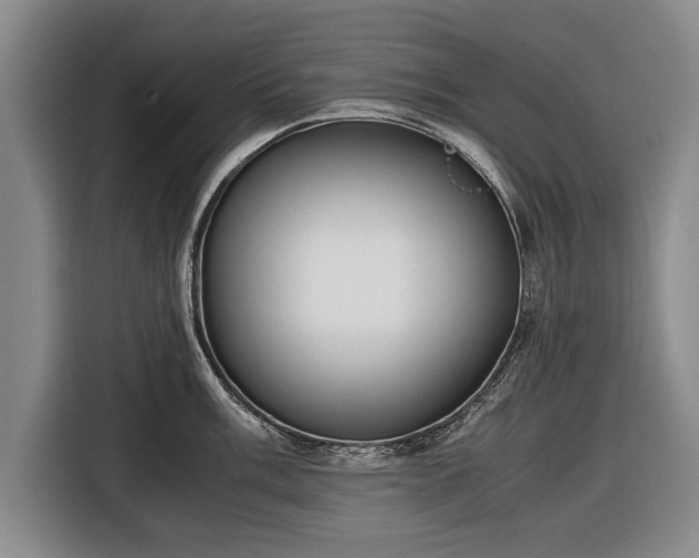 X0000116621003200912181301