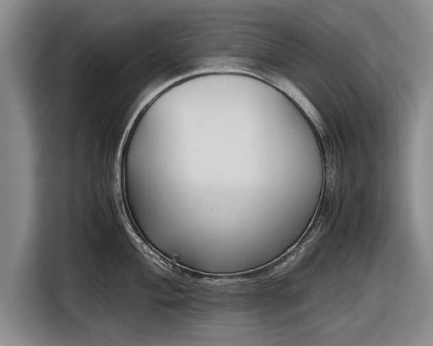 X0000116621004200912181301