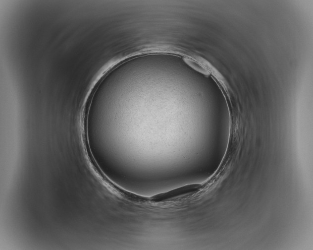 X0000116621005200912181301