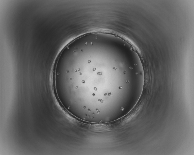 X0000116621007200912181301