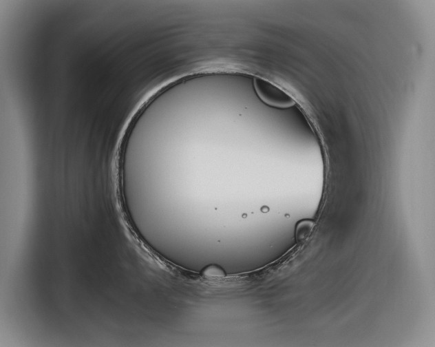 X0000116621008200912181301