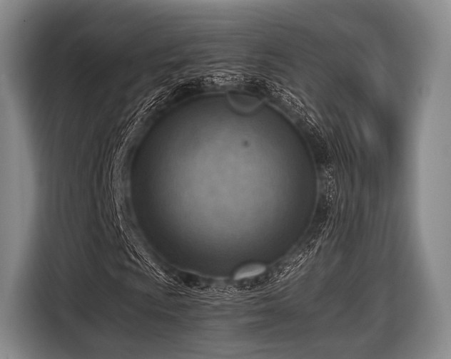 X0000116621009200912181300