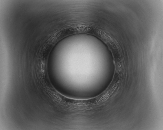 X0000116621010200912181300