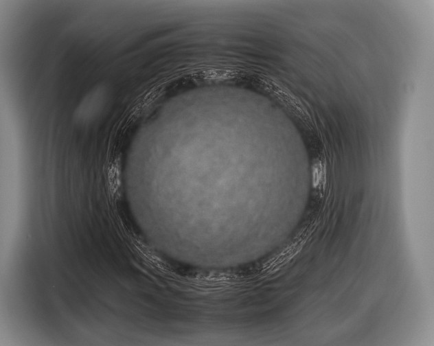 X0000116621011200912181300