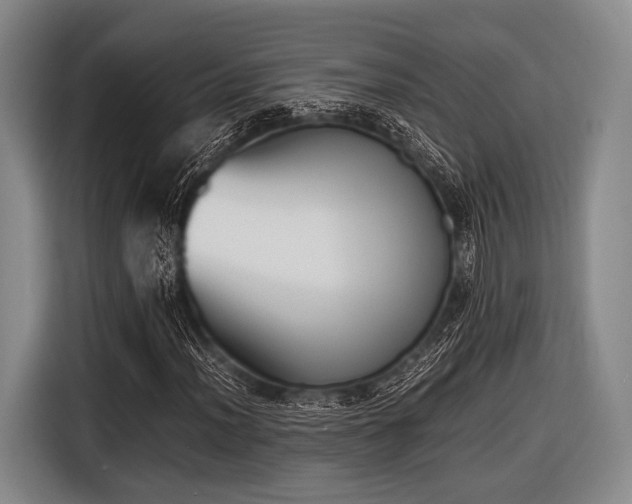 X0000116621012200912181300