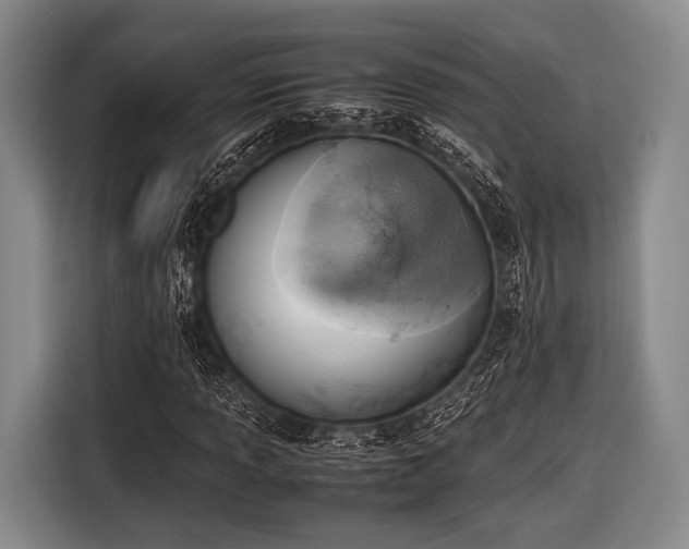 X0000116621013200912181300