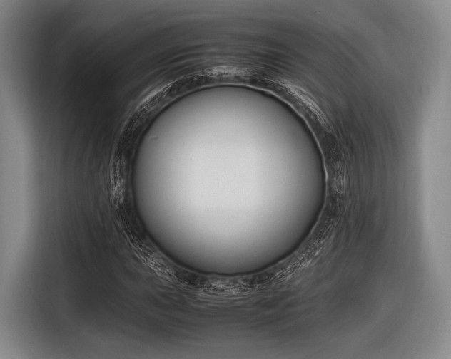 X0000116621015200912181300
