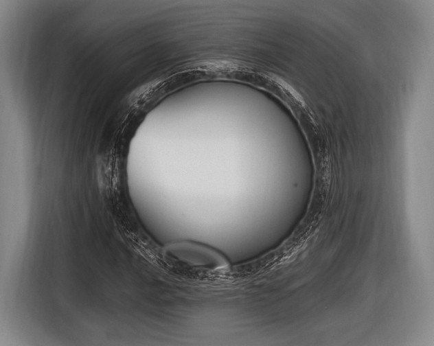 X0000116621016200912181300