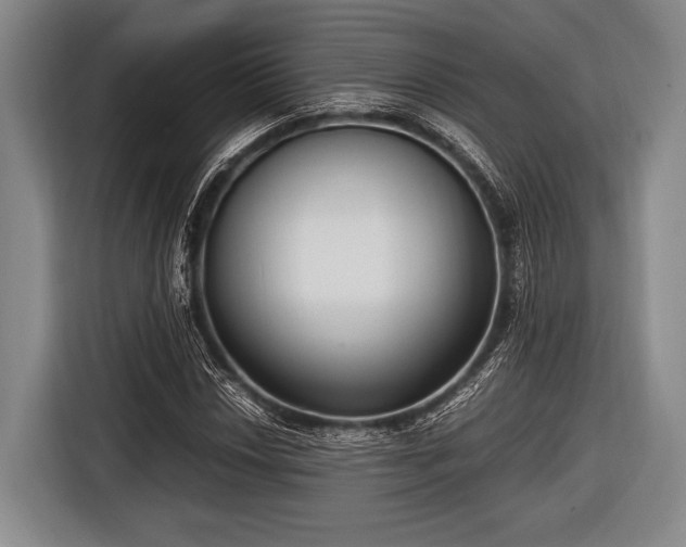 X0000116621018200912181300