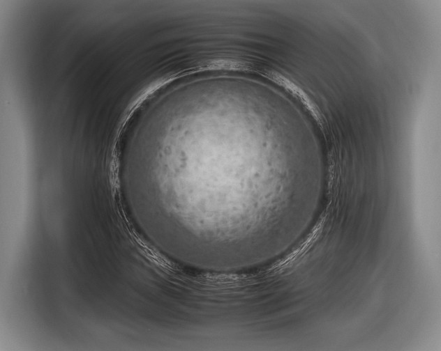 X0000116621019200912181300