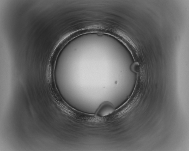X0000116621021200912181301