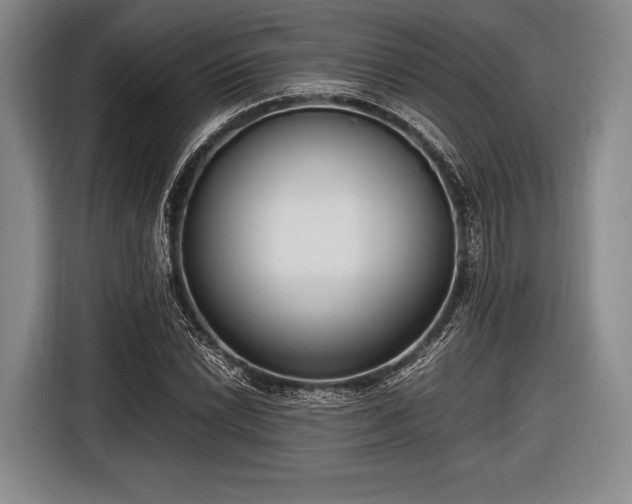 X0000116621022200912181301