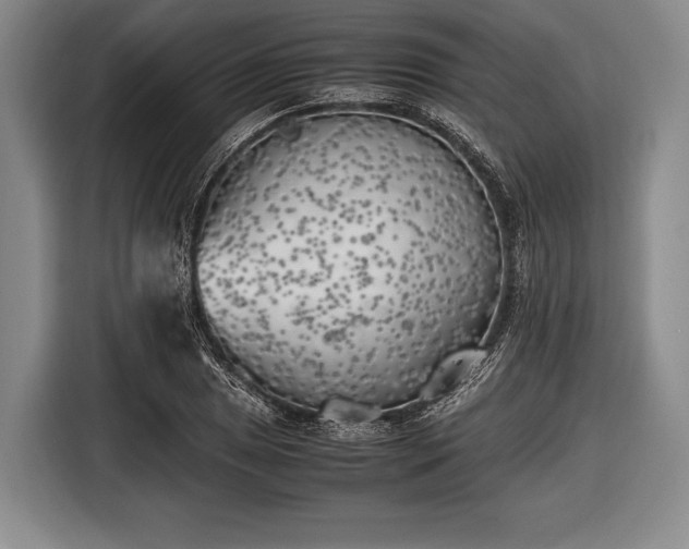 X0000116621025200912181301