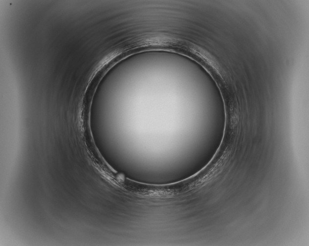 X0000116621026200912181301