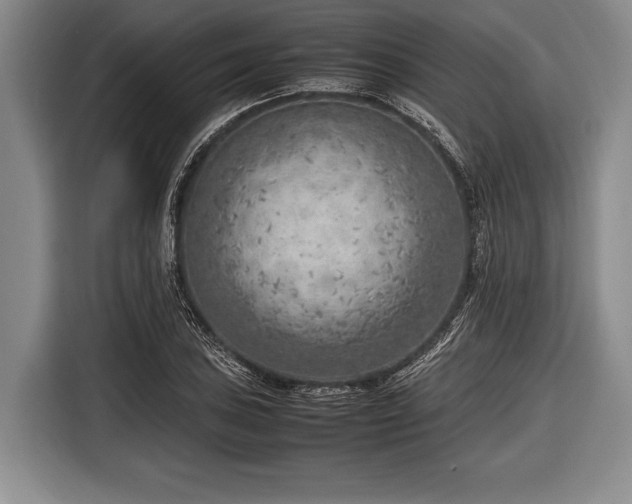 X0000116621027200912181301