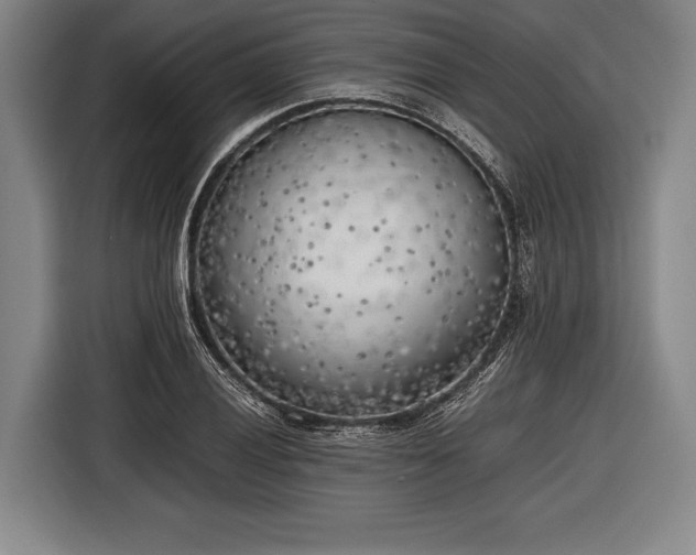 X0000116621028200912181301