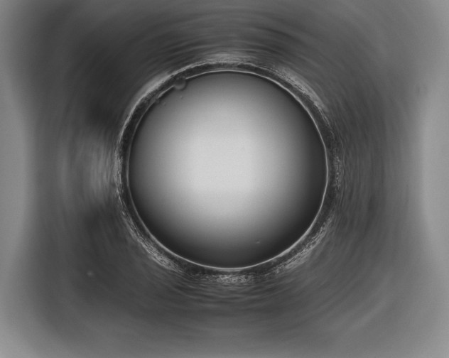 X0000116621029200912181301