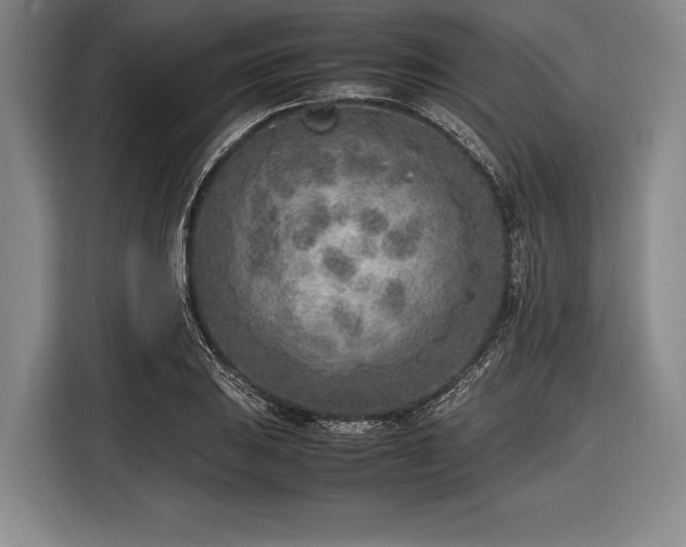 X0000116621031200912181301