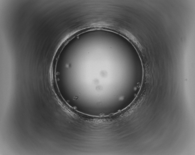 X0000116621032200912181301