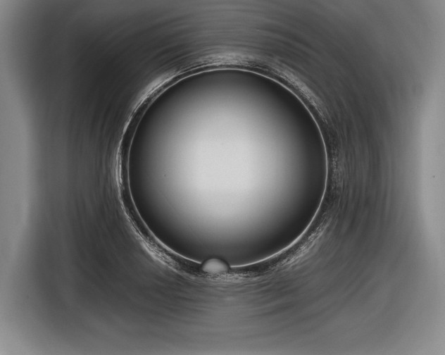 X0000116621034200912181301