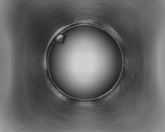 X0000116621036200912181301