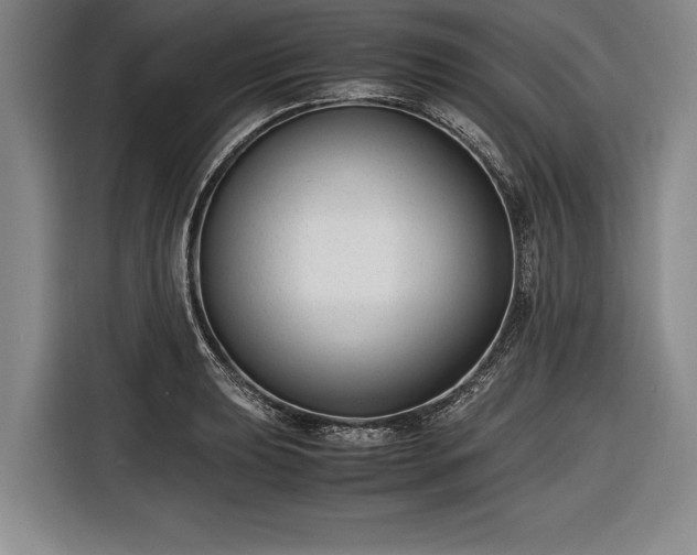 X0000116621039200912181301