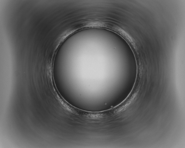 X0000116621041200912181301