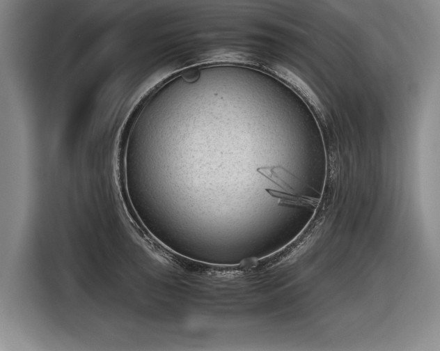 X0000116621043200912181301