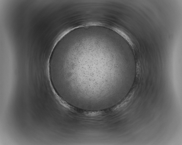 X0000116621047200912181301