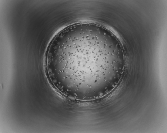 X0000116621048200912181301
