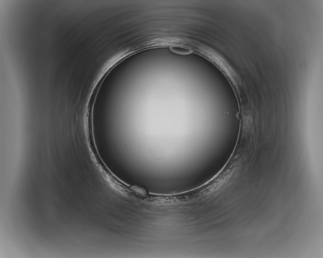 X0000116621050200912181301
