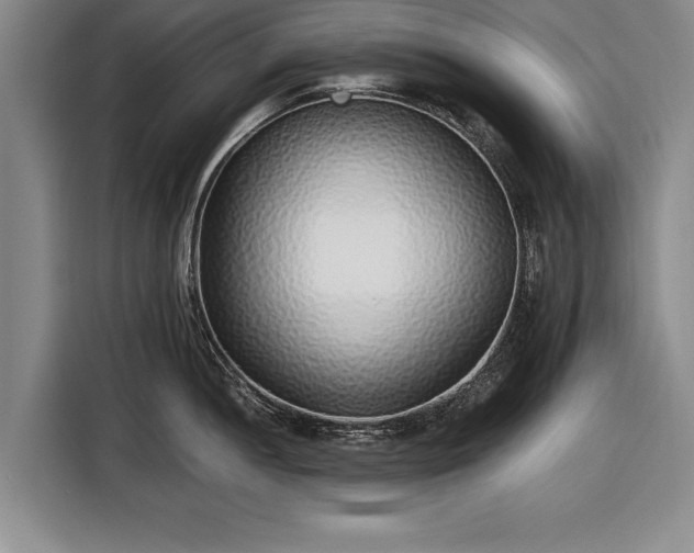 X0000116621052200912181301
