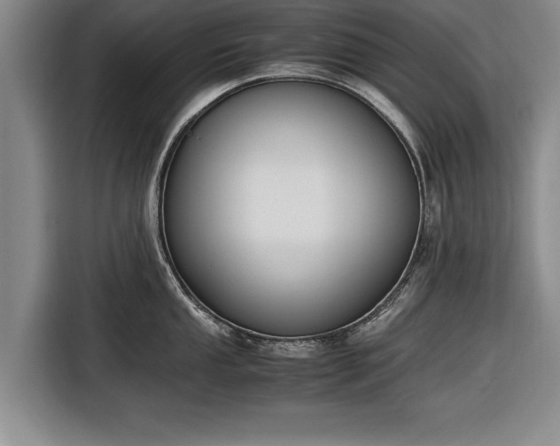 X0000116621053200912181301