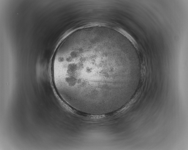 X0000116621055200912181301