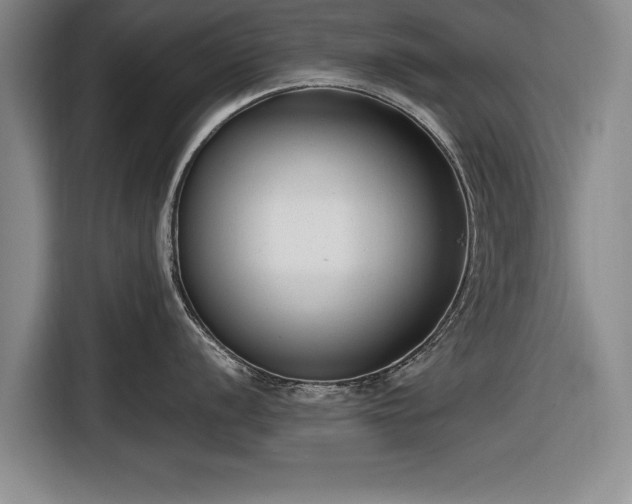 X0000116621056200912181301