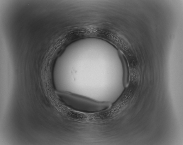X0000116621057200912181300