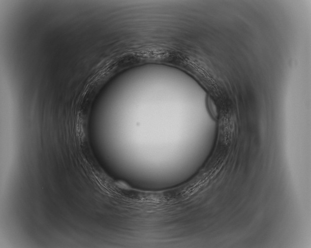 X0000116621058200912181300