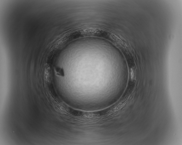 X0000116621059200912181300